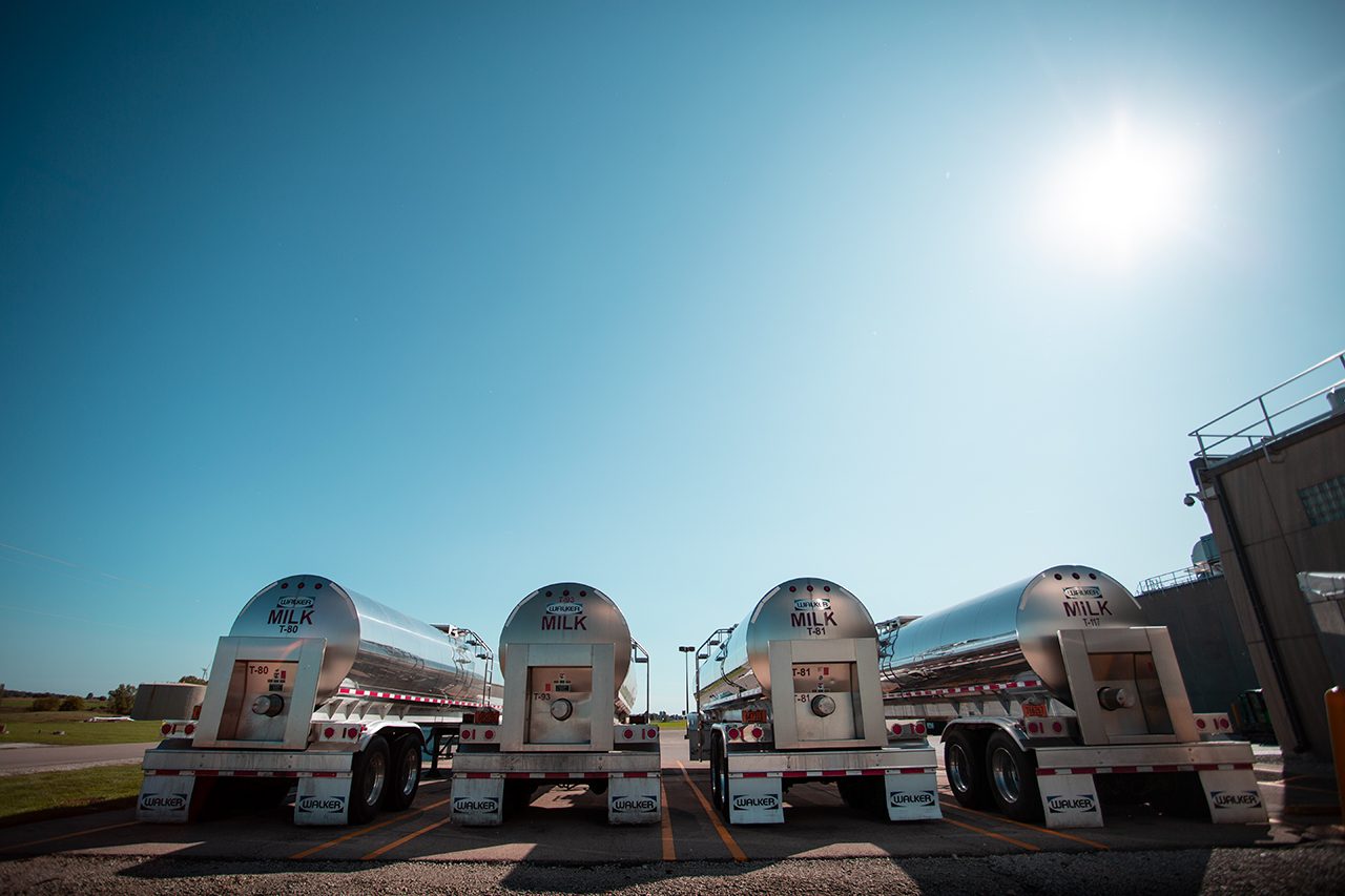 OurMilkProducers_trucks